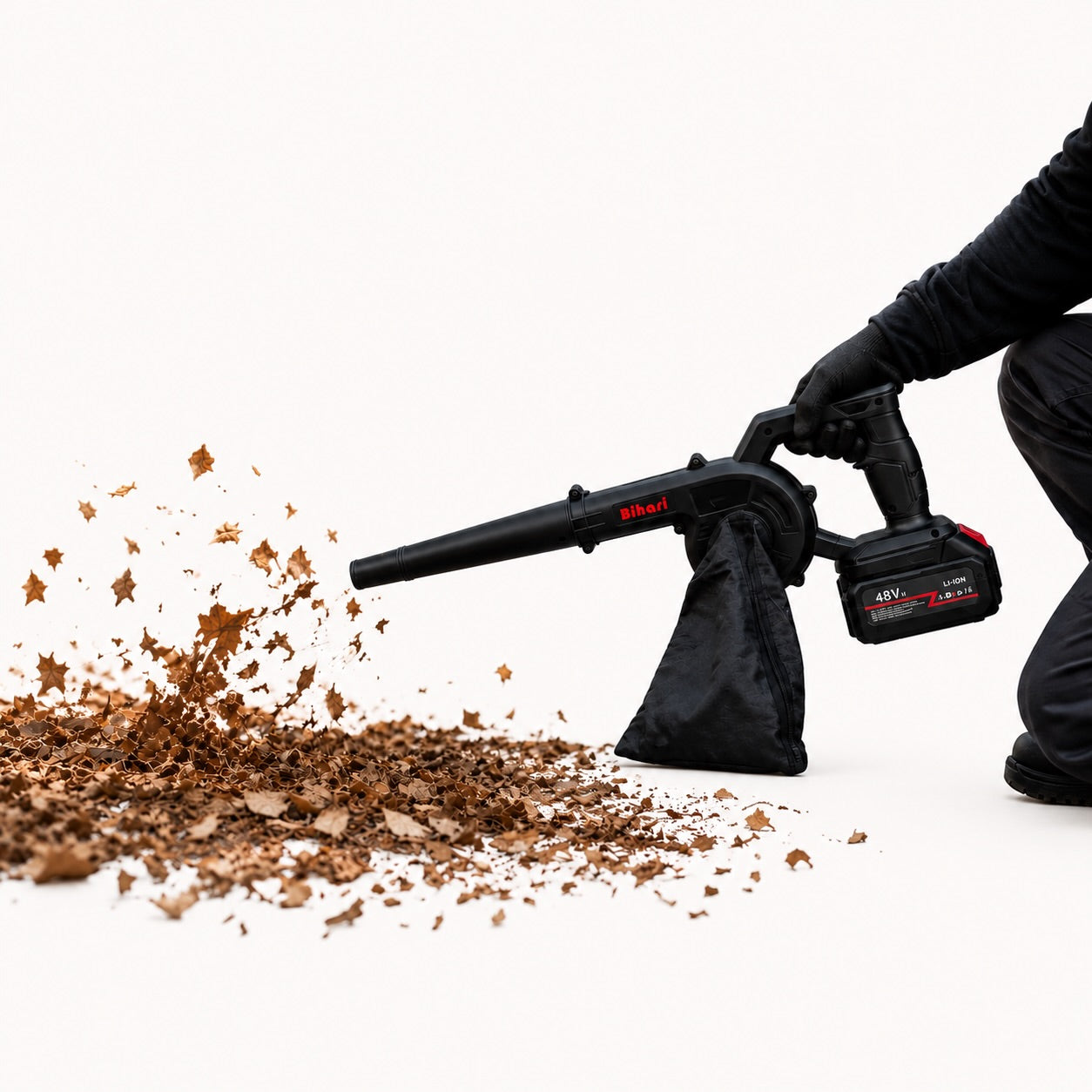 Cordless Blower (2 Battery)